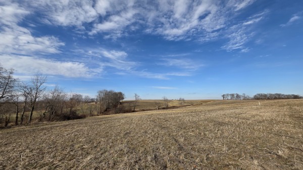 More of Lot 16 at Sheridan Estates