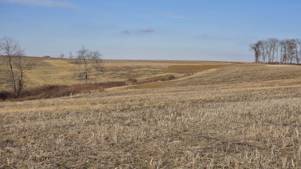 More of Lot 16 at Sheridan Estates