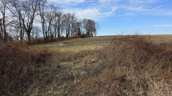 Lot 16 at Sheridan Estates property photo