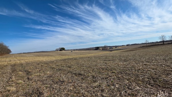 More of Lot 4 at Sheridan Estates