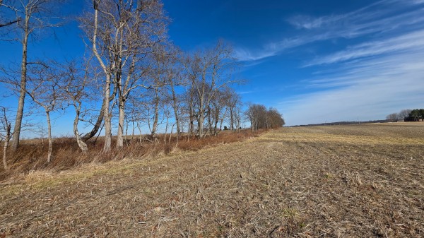 More of Lot 4 at Sheridan Estates