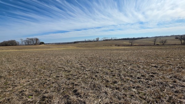 More of Lot 2 at Sheridan Estates