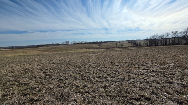 More of Lot 2 at Sheridan Estates