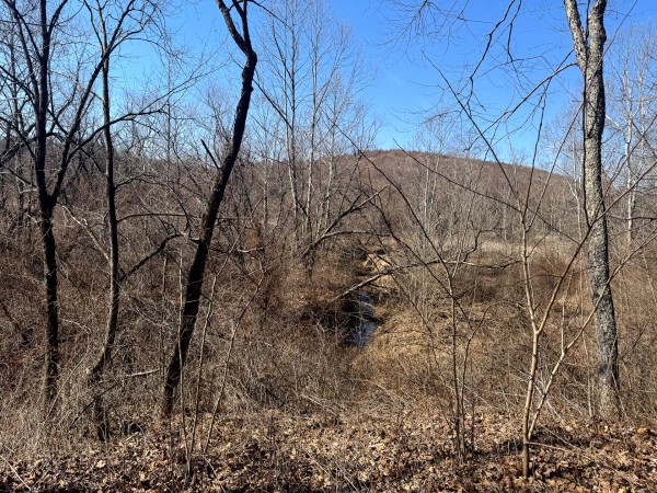 140 Acre - Sulphur Spring Rd property photo