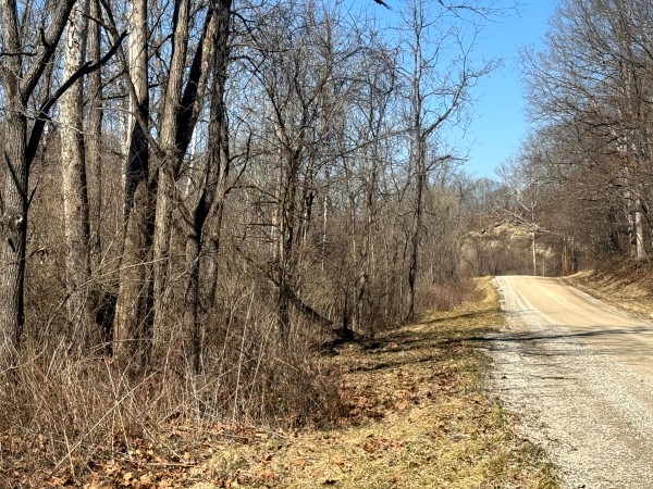 140 Acre - Sulphur Spring Rd property photo