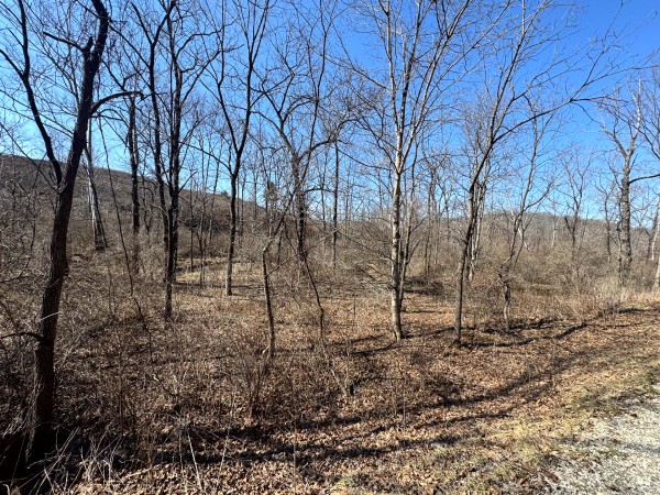 140 Acre - Sulphur Spring Rd property photo