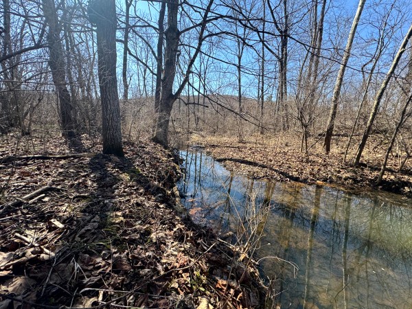 140 Acre - Sulphur Spring Rd property photo