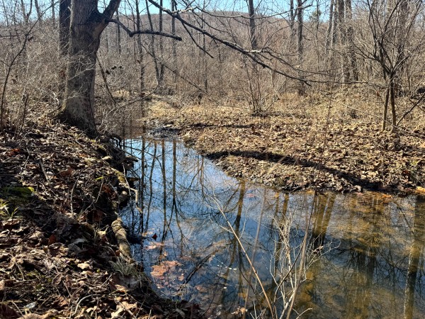 140 Acre - Sulphur Spring Rd property photo
