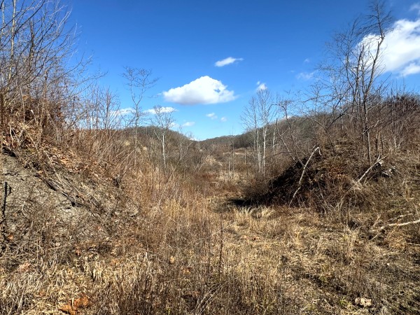 140 Acre - Sulphur Spring Rd property photo