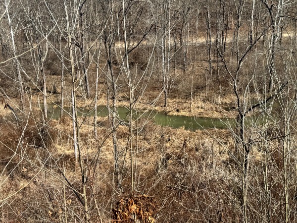 140 Acre - Sulphur Spring Rd property photo