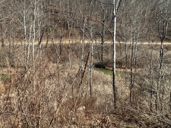 140 Acre - Sulphur Spring Rd property photo