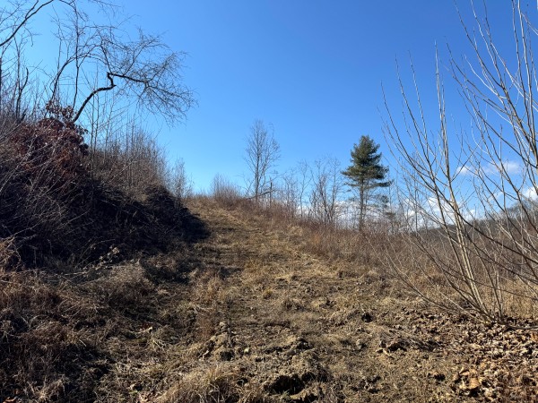 140 Acre - Sulphur Spring Rd property photo