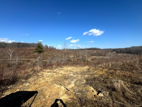 140 Acre - Sulphur Spring Rd property photo
