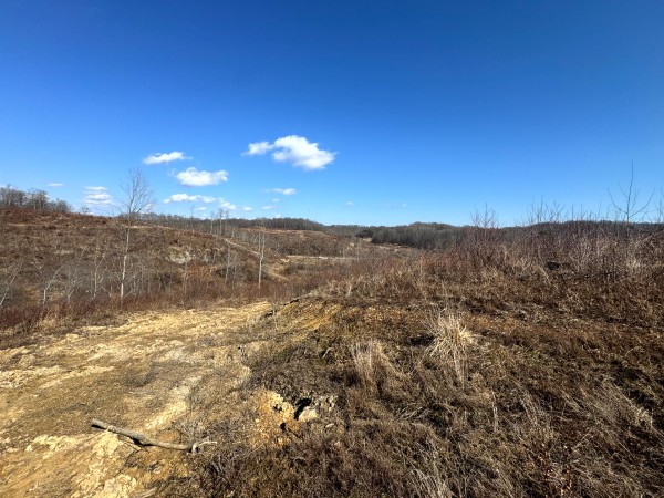 140 Acre - Sulphur Spring Rd property photo