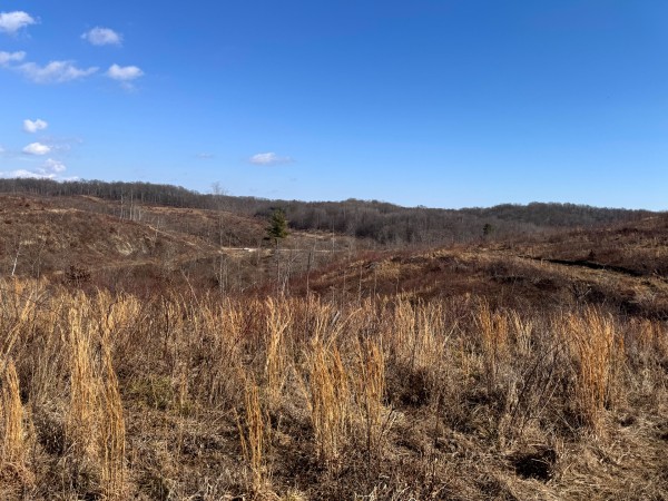 140 Acre - Sulphur Spring Rd property photo