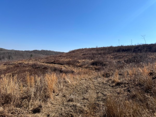 140 Acre - Sulphur Spring Rd property photo