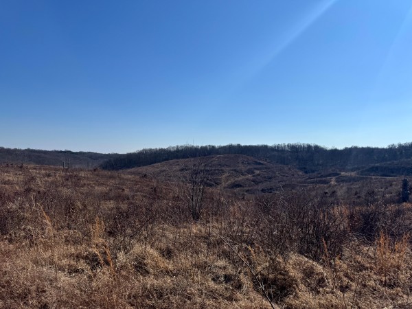 140 Acre - Sulphur Spring Rd property photo