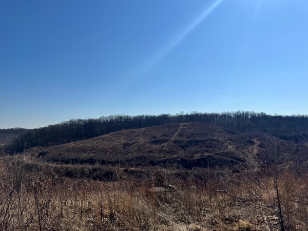 140 Acre - Sulphur Spring Rd property photo