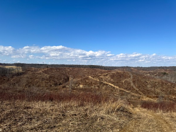 140 Acre - Sulphur Spring Rd property photo