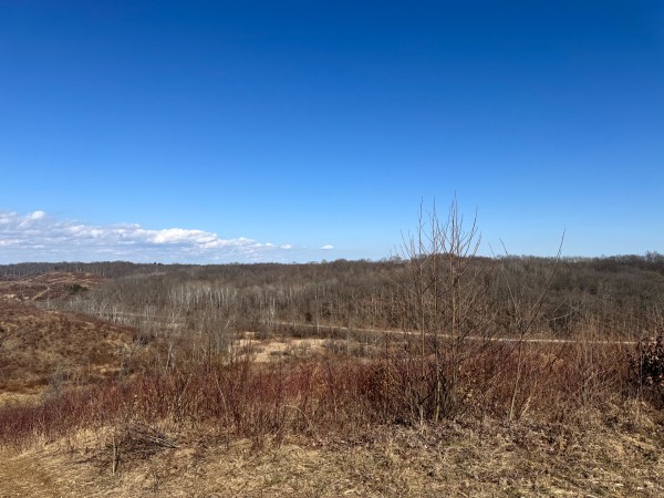 140 Acre - Sulphur Spring Rd property photo