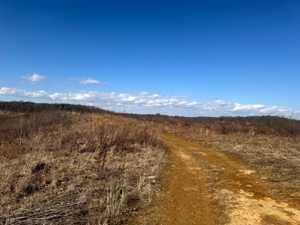 140 Acre - Sulphur Spring Rd property photo