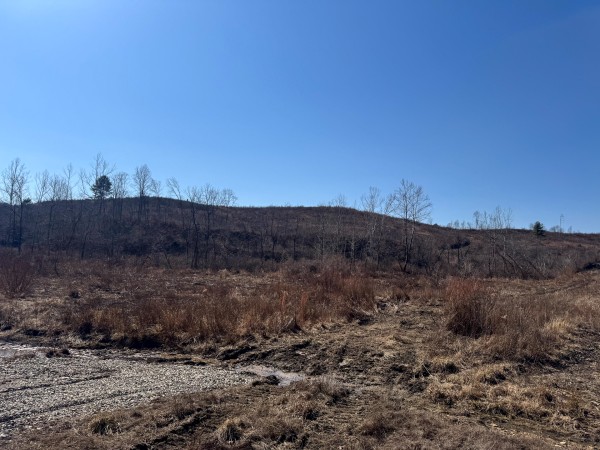 More of 140 Acre - Sulphur Spring Rd