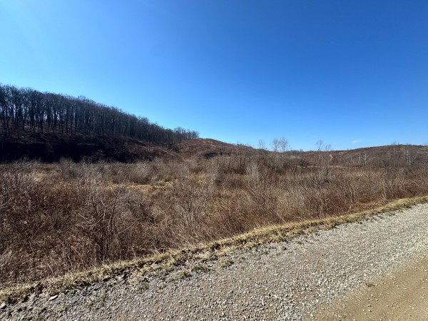 140 Acre - Sulphur Spring Rd property photo