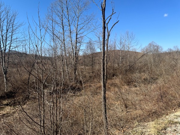 140 Acre - Sulphur Spring Rd property photo