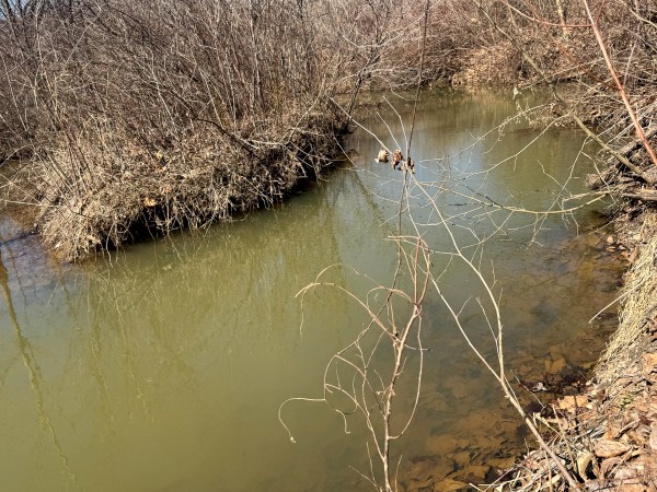 140 Acre - Sulphur Spring Rd property photo