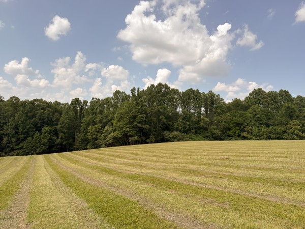 Tract 4 at Wolf Hill Estates property photo