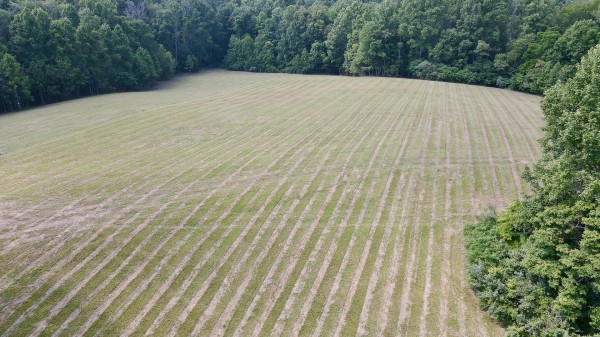 Tract 4 at Wolf Hill Estates property photo