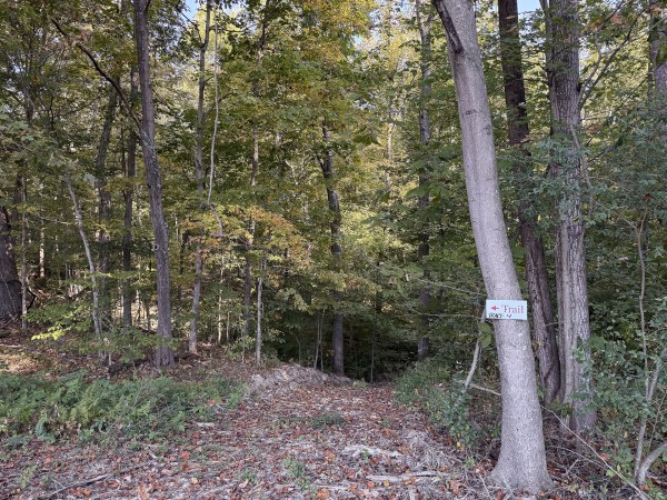 Tract 4 at Wolf Hill Estates property photo