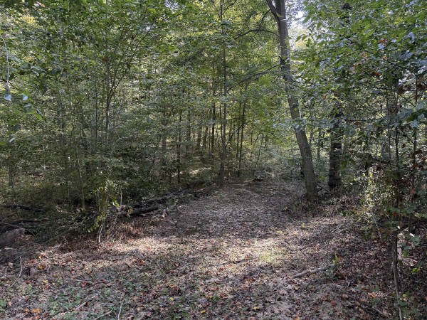 Tract 4 at Wolf Hill Estates property photo
