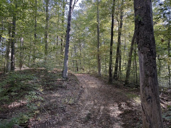 Tract 4 at Wolf Hill Estates property photo