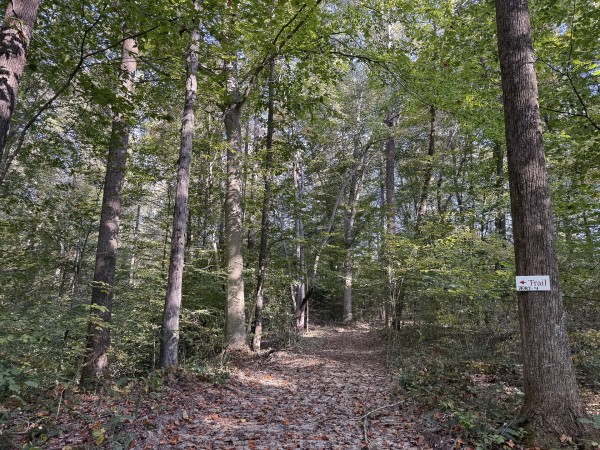 Tract 4 at Wolf Hill Estates property photo