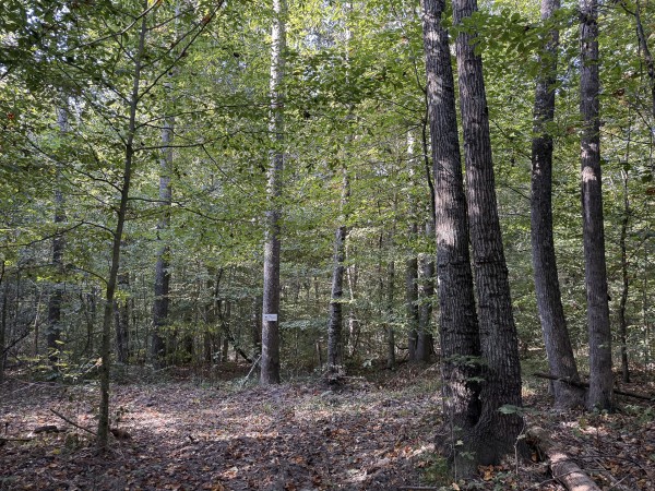 Tract 4 at Wolf Hill Estates property photo
