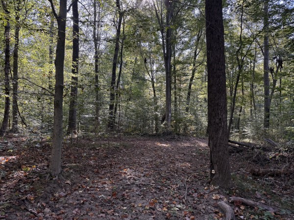 Tract 4 at Wolf Hill Estates property photo