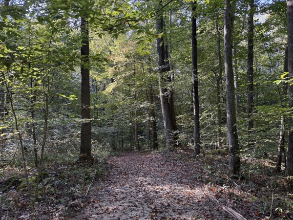 Tract 4 at Wolf Hill Estates property photo