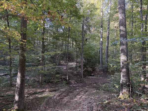 Tract 4 at Wolf Hill Estates property photo