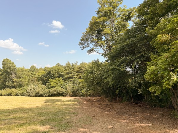 Tract 4 at Wolf Hill Estates property photo