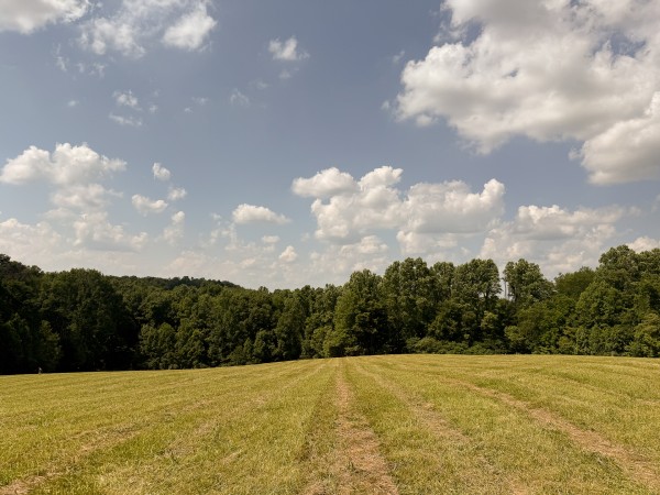 Tract 4 at Wolf Hill Estates property photo