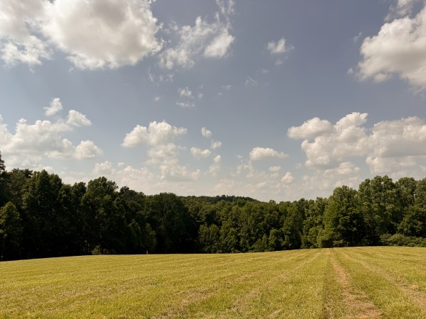 Tract 4 at Wolf Hill Estates property photo