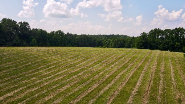 Tract 4 at Wolf Hill Estates property photo