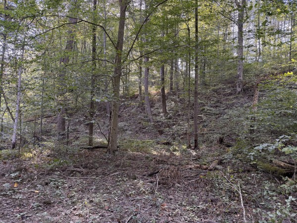 Tract 4 at Wolf Hill Estates property photo
