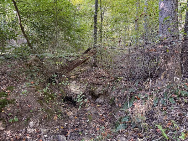 Tract 4 at Wolf Hill Estates property photo