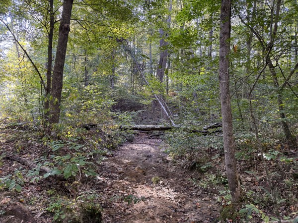 Tract 4 at Wolf Hill Estates property photo