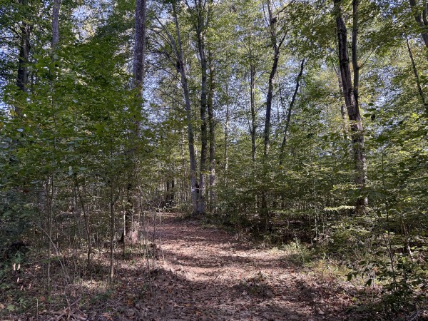 Tract 4 at Wolf Hill Estates property photo