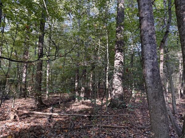 Tract 4 at Wolf Hill Estates property photo