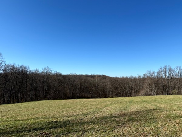 More of Tract 4 at Wolf Hill Estates