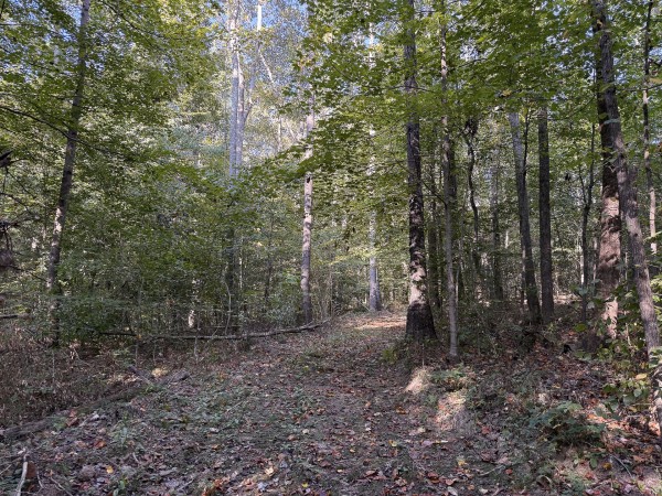 Tract 4 at Wolf Hill Estates property photo